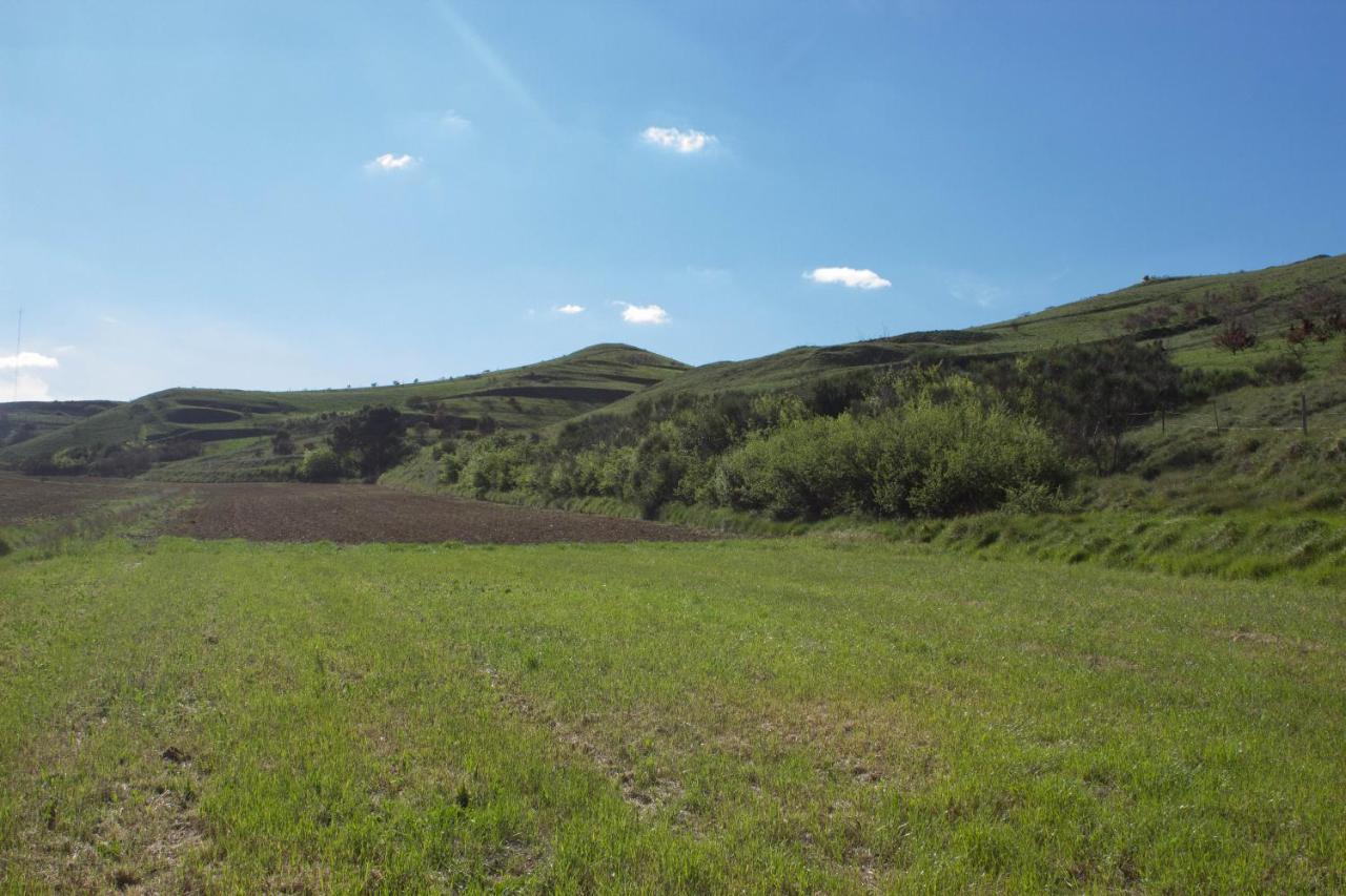 Ma Caravane Dans Les Collines Villeneuve-la-Comptal 外观 照片